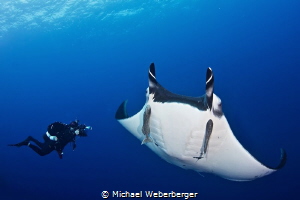 Underwater photographer is doing his job by Michael Weberberger 